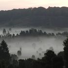 Morgenstimmung in der Lüneburger Heide (1)