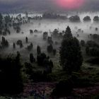 Morgenstimmung in der Lüneburger Heide