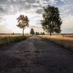 Morgenstimmung in der Lüneburger Heide