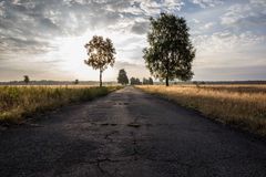 Morgenstimmung in der Lüneburger Heide