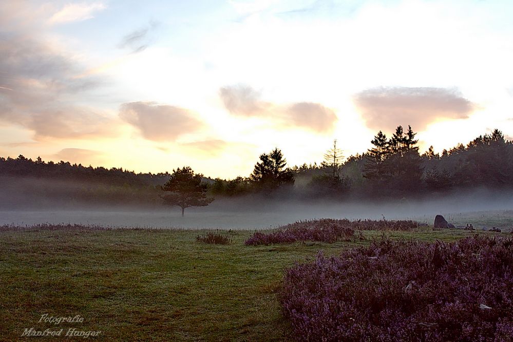 Morgenstimmung in der Lüneburger Heide