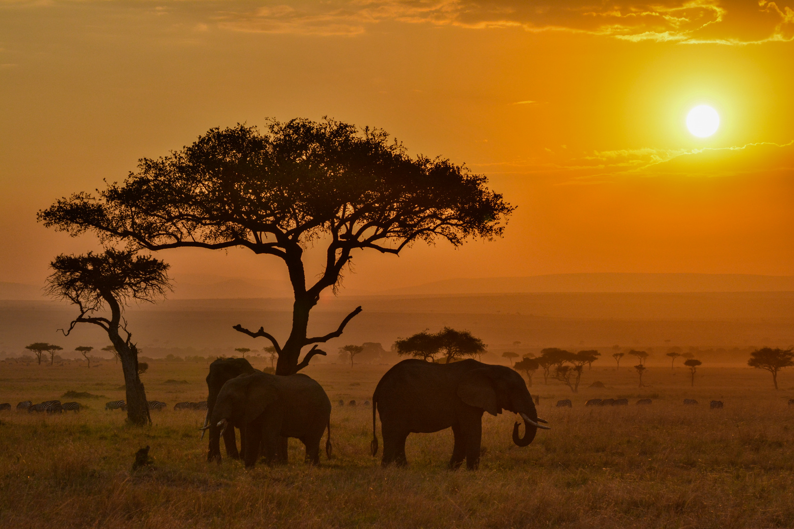 Morgenstimmung in der Maasai Mara Foto & Bild | natur, landschaft