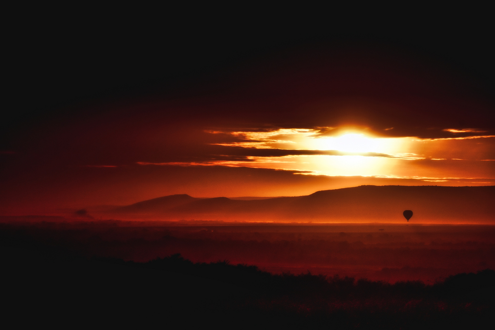 Morgenstimmung in der Masai Mara 