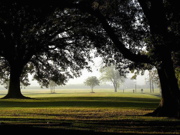 morgenstimmung in der oak alley plantation, louisiana