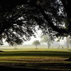 morgenstimmung in der oak alley plantation, louisiana