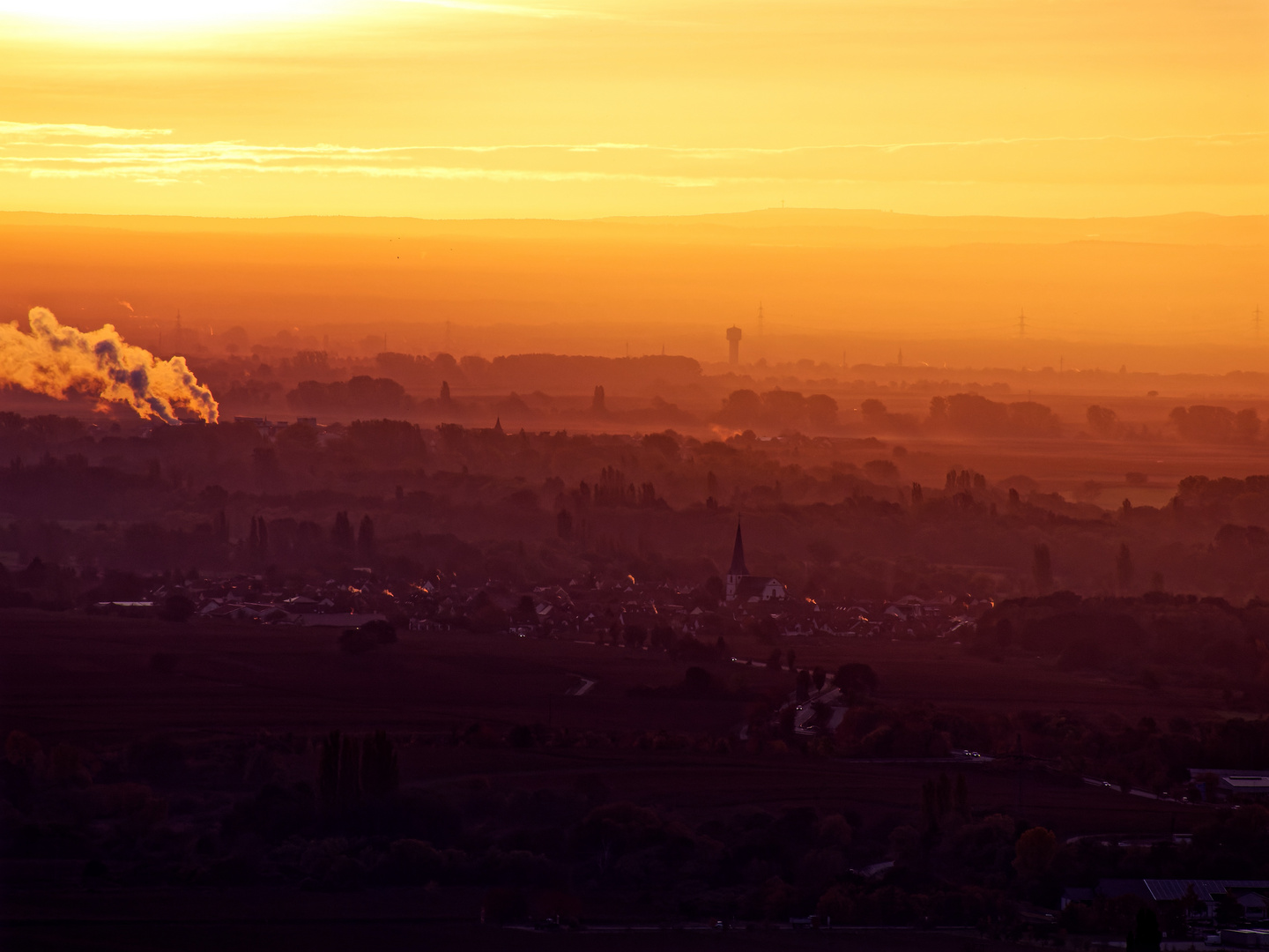 Morgenstimmung in der Pfalz