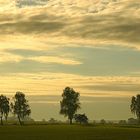 Morgenstimmung in der Ruppiner Schweiz