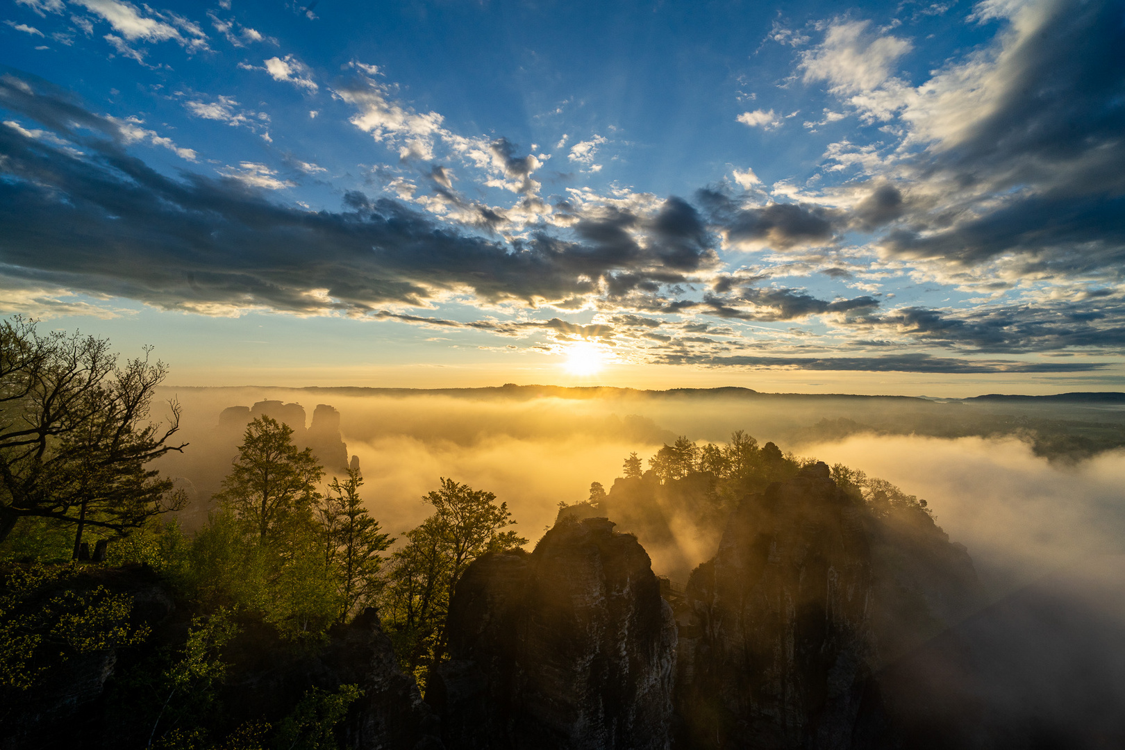 Morgenstimmung in der Sächsischen Schweiz
