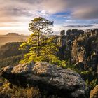 Morgenstimmung in der Sächsischen Schweiz