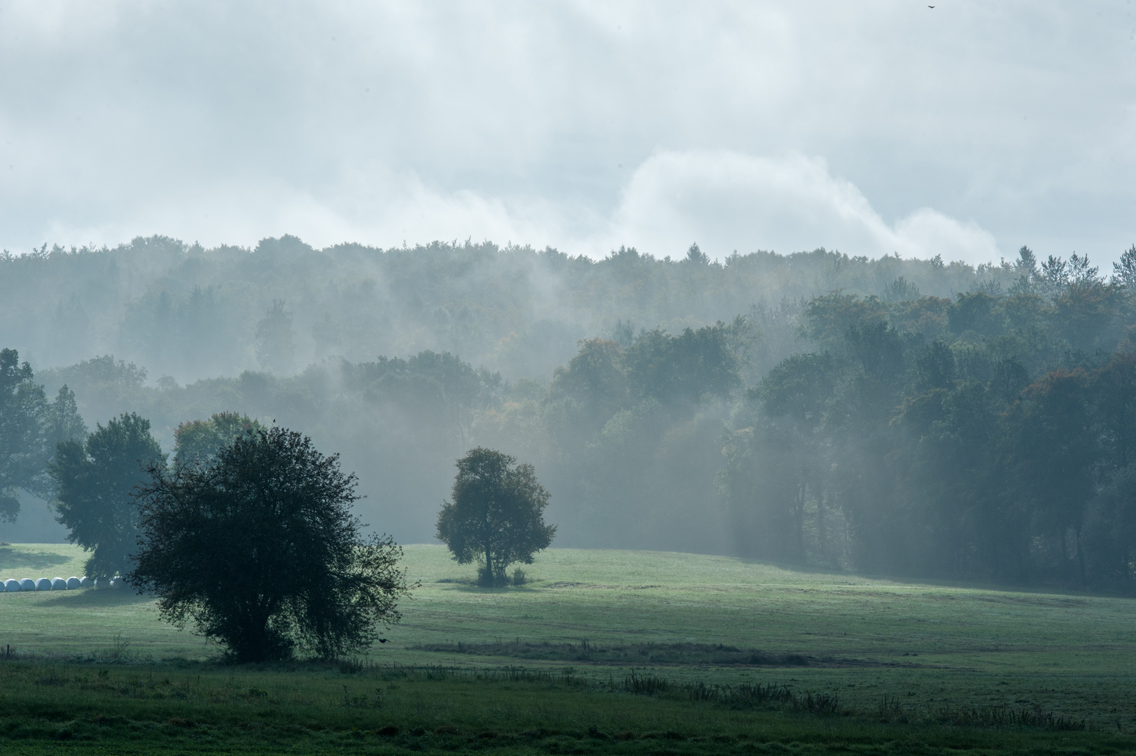 Morgenstimmung in der Schwalm