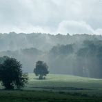 Morgenstimmung in der Schwalm