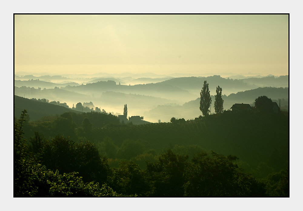 Morgenstimmung in der Südsteiermark