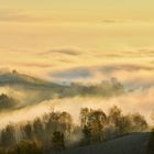 Morgenstimmung in der Südsteirischen Weinstraße