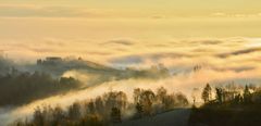 Morgenstimmung in der Südsteirischen Weinstraße