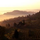 Morgenstimmung in der Toscana