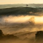 Morgenstimmung in der Toskana