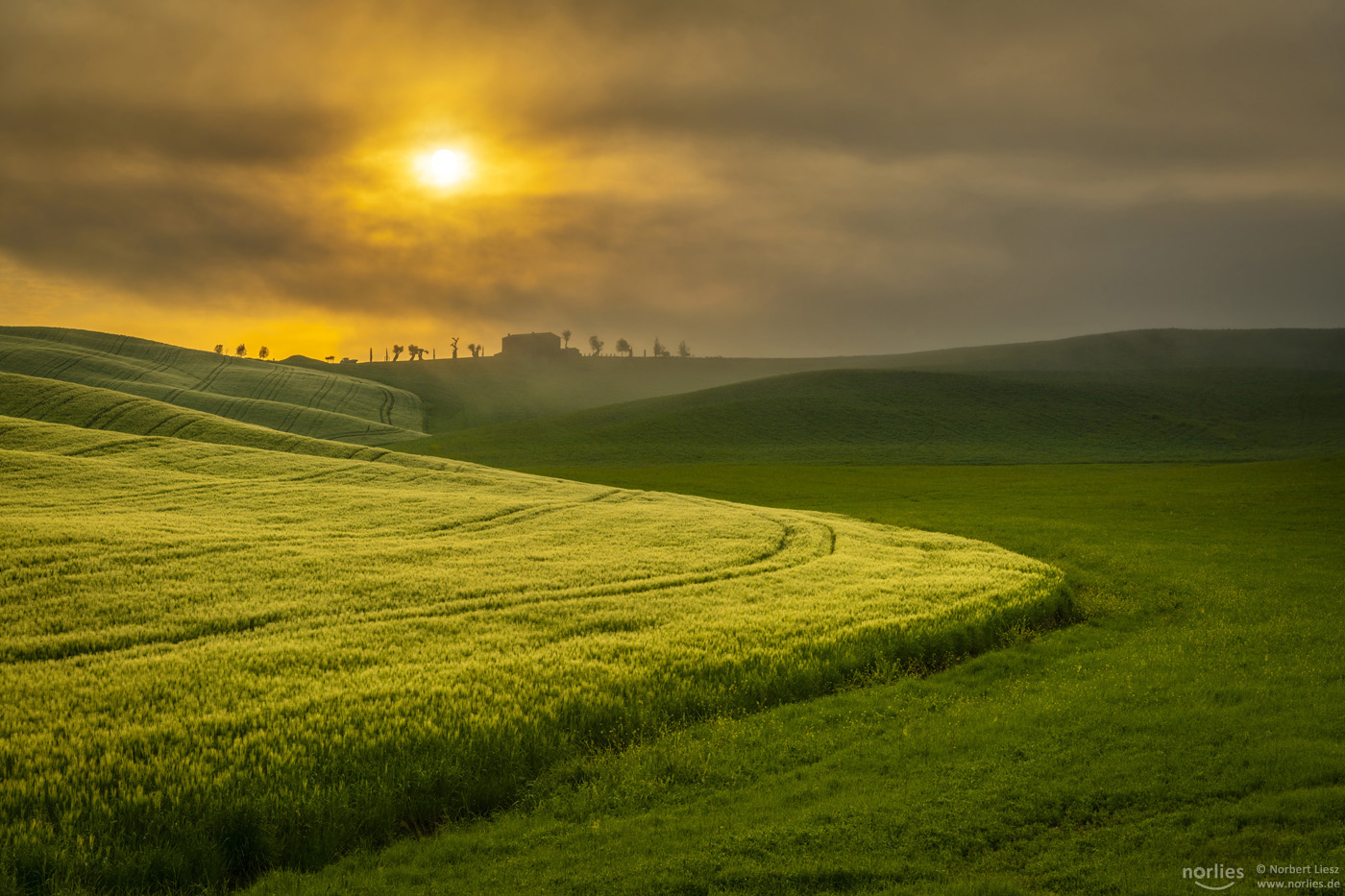 Morgenstimmung in der Toskana