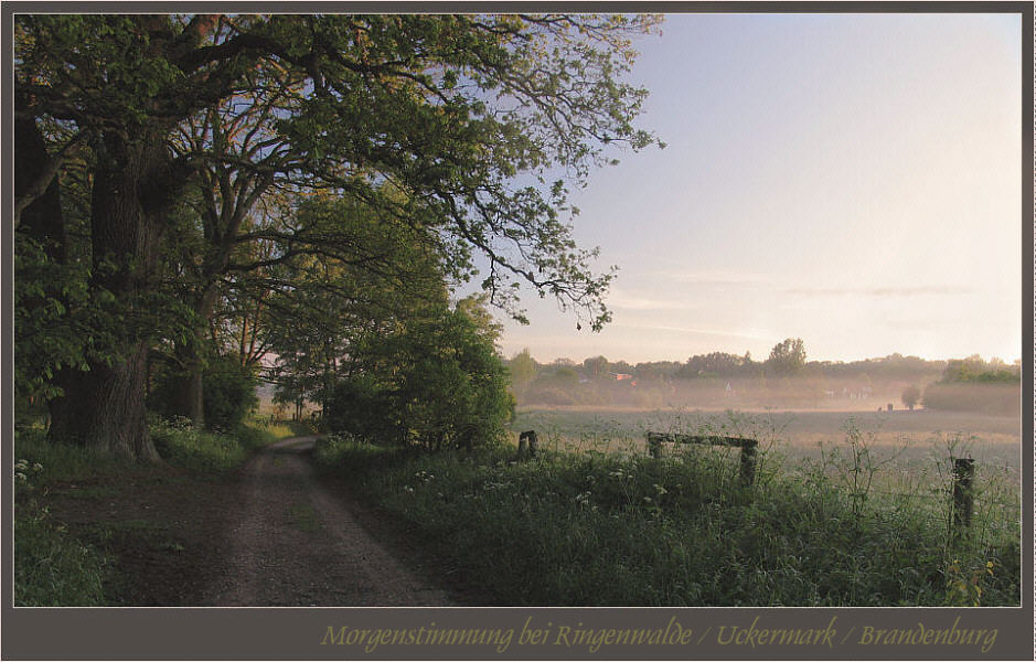 Morgenstimmung in der Uckermark