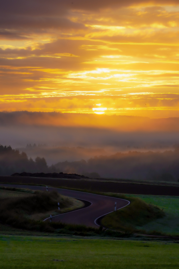 Morgenstimmung in der Vulkaneifel 