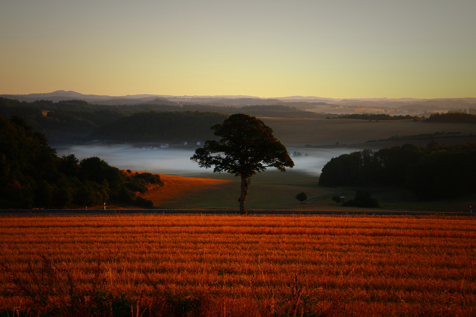 Morgenstimmung in der Vulkaneifel