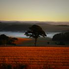 Morgenstimmung in der Vulkaneifel