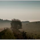 Morgenstimmung in der Vulkaneifel bei Steffeln