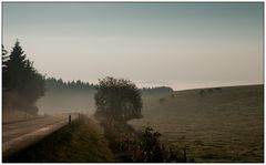 Morgenstimmung in der Vulkaneifel bei Steffeln