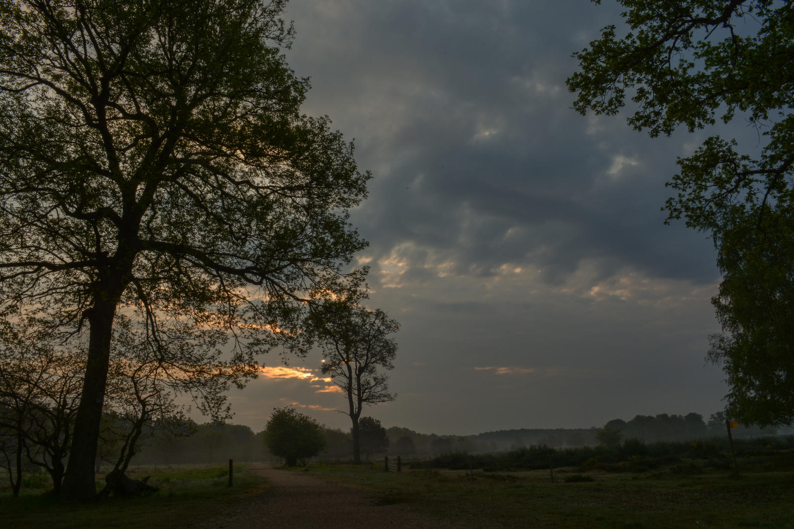 MOrgenstimmung in der Wahner Heide