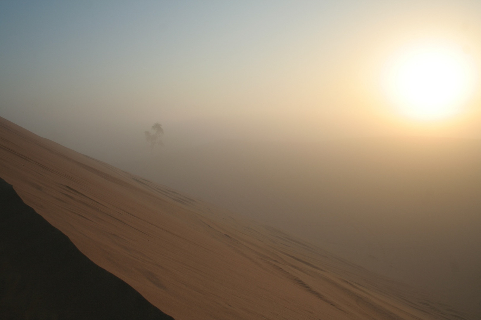Morgenstimmung in der Wüste