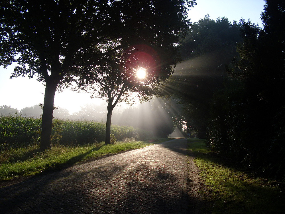 Morgenstimmung in Edewecht