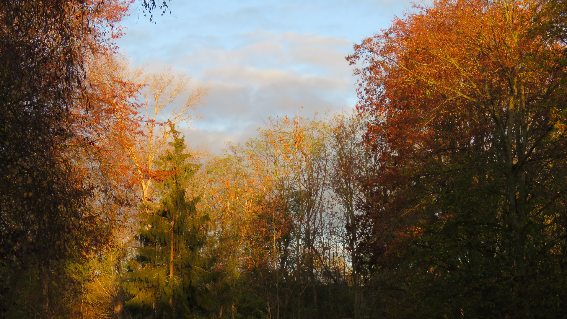 Morgenstimmung in einem Stendaler Hinterhof...