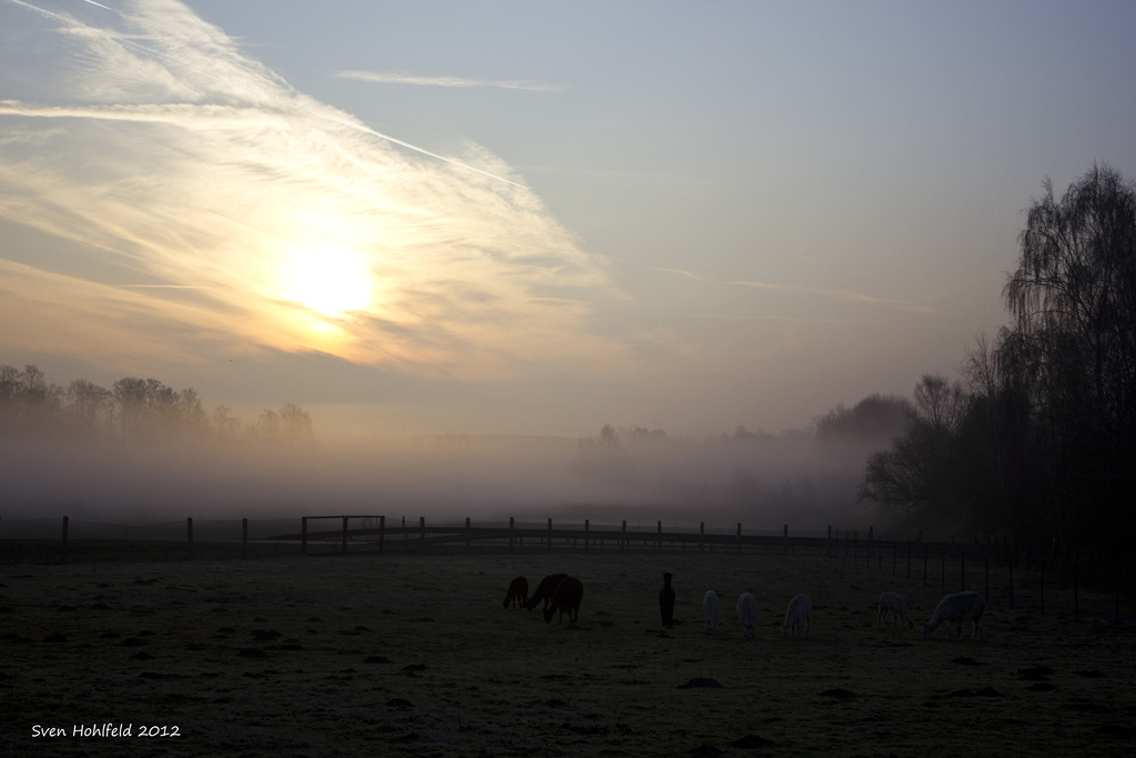 Morgenstimmung in Geithain