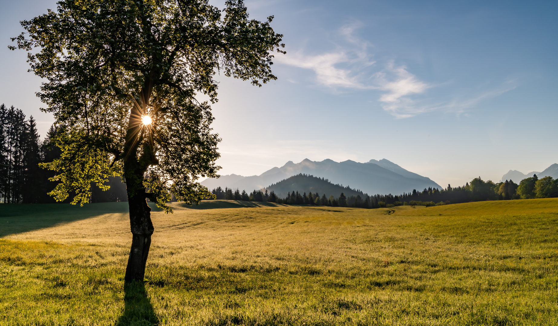 Morgenstimmung in Gerold.