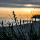 Morgenstimmung in Göhren - Insel Rügen