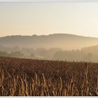 Morgenstimmung in Hertlingshausen