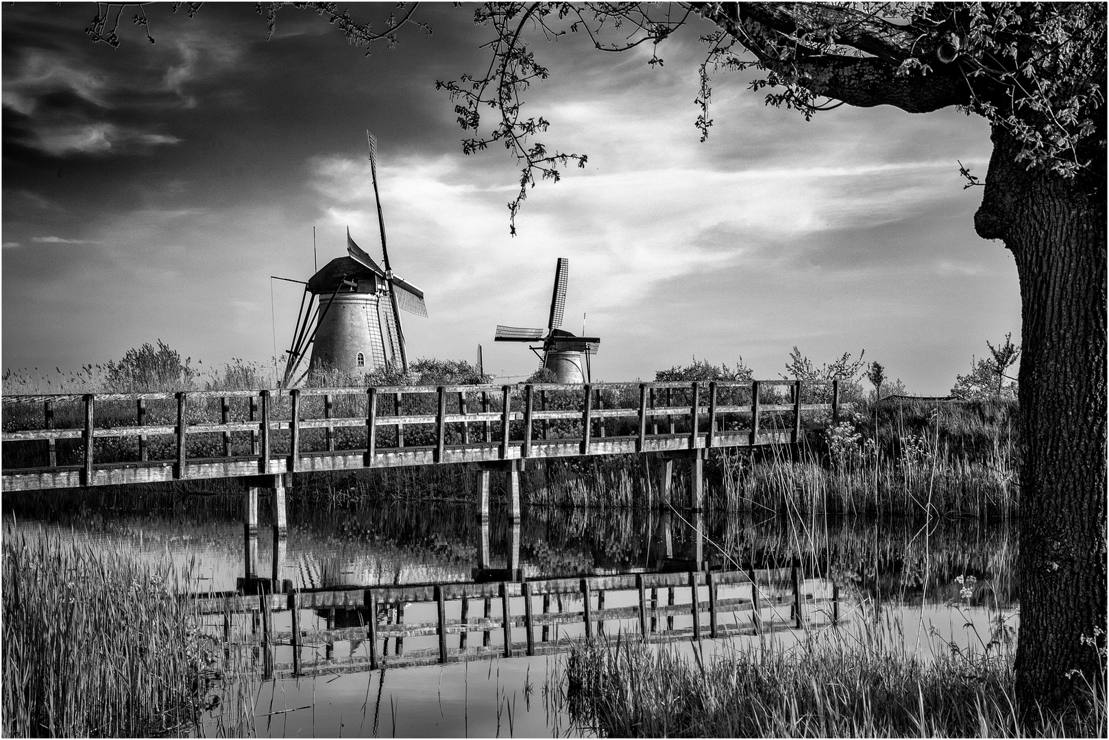 Morgenstimmung in Kinderdijk.