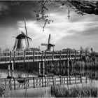 Morgenstimmung in Kinderdijk.