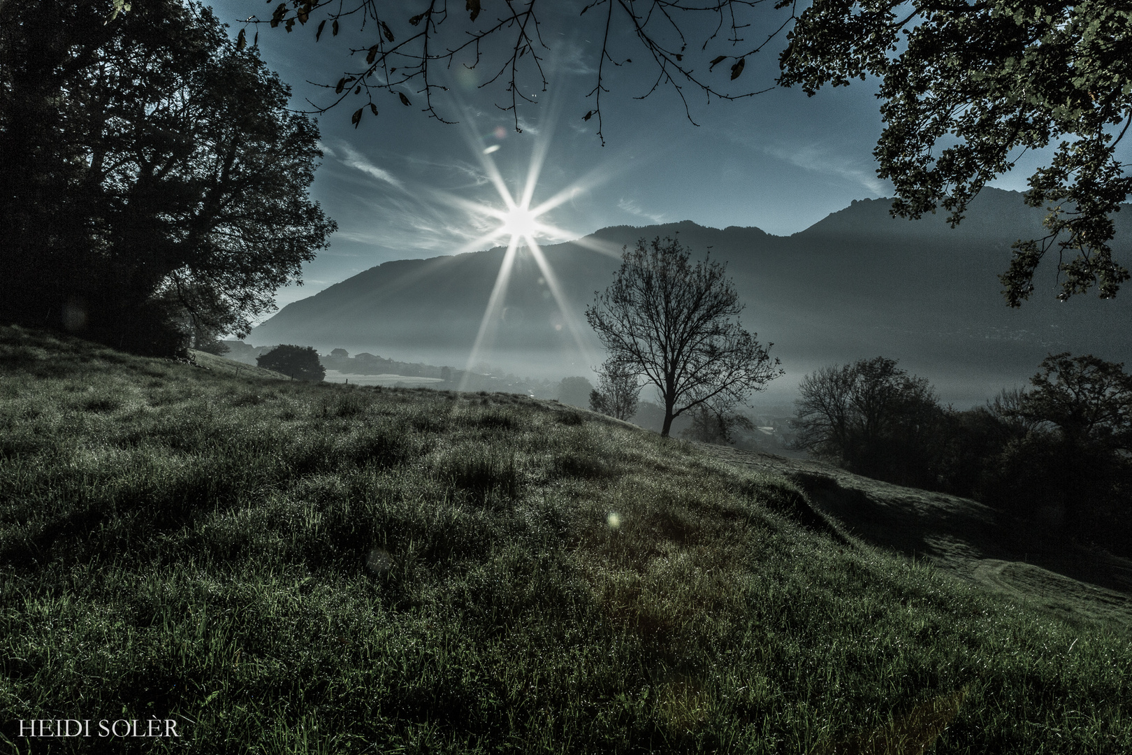 Morgenstimmung in Liechtenstein