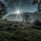 Morgenstimmung in Liechtenstein