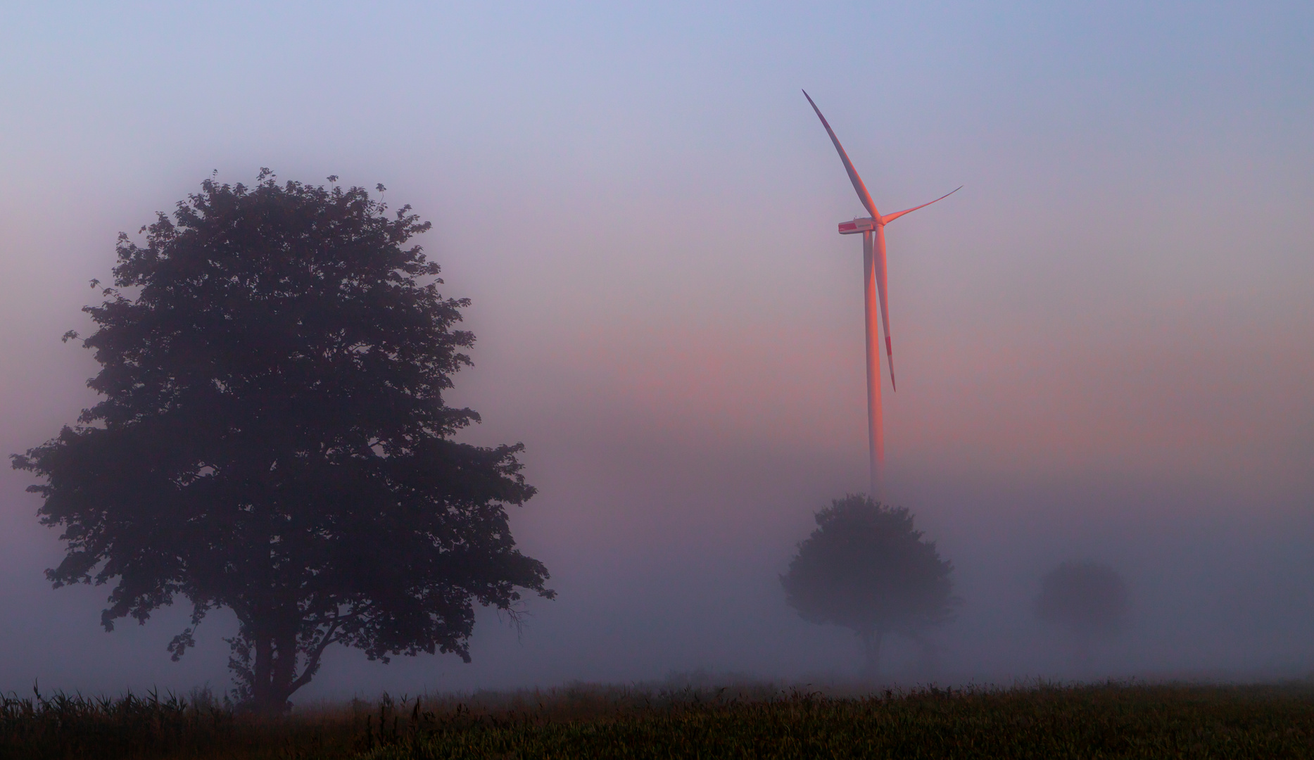 Morgenstimmung in Neuenlande