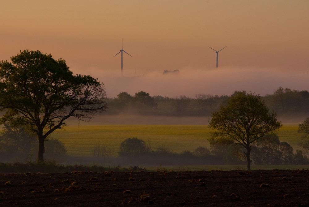 Morgenstimmung in Norddeutschland