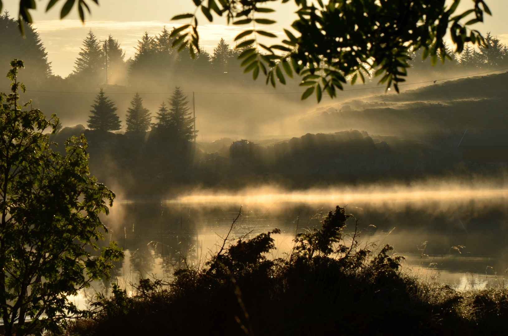 Morgenstimmung in Norwegen