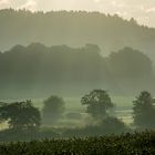 Morgenstimmung in Oberschwaben