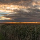 Morgenstimmung in Rantum/ Sylt