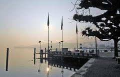 Morgenstimmung in Richterswil