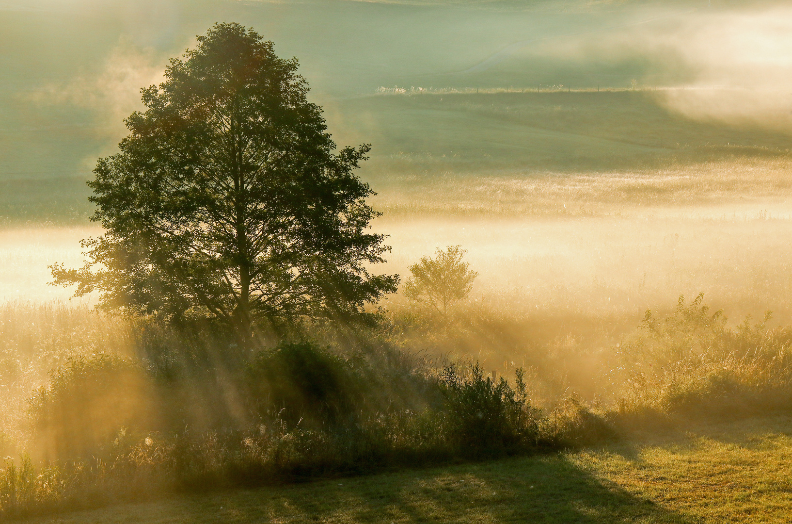 Morgenstimmung in Rüppershausen