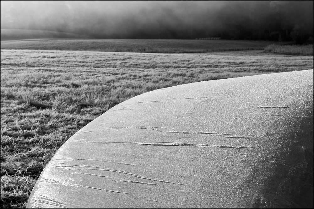 Morgenstimmung in schwarz weiss