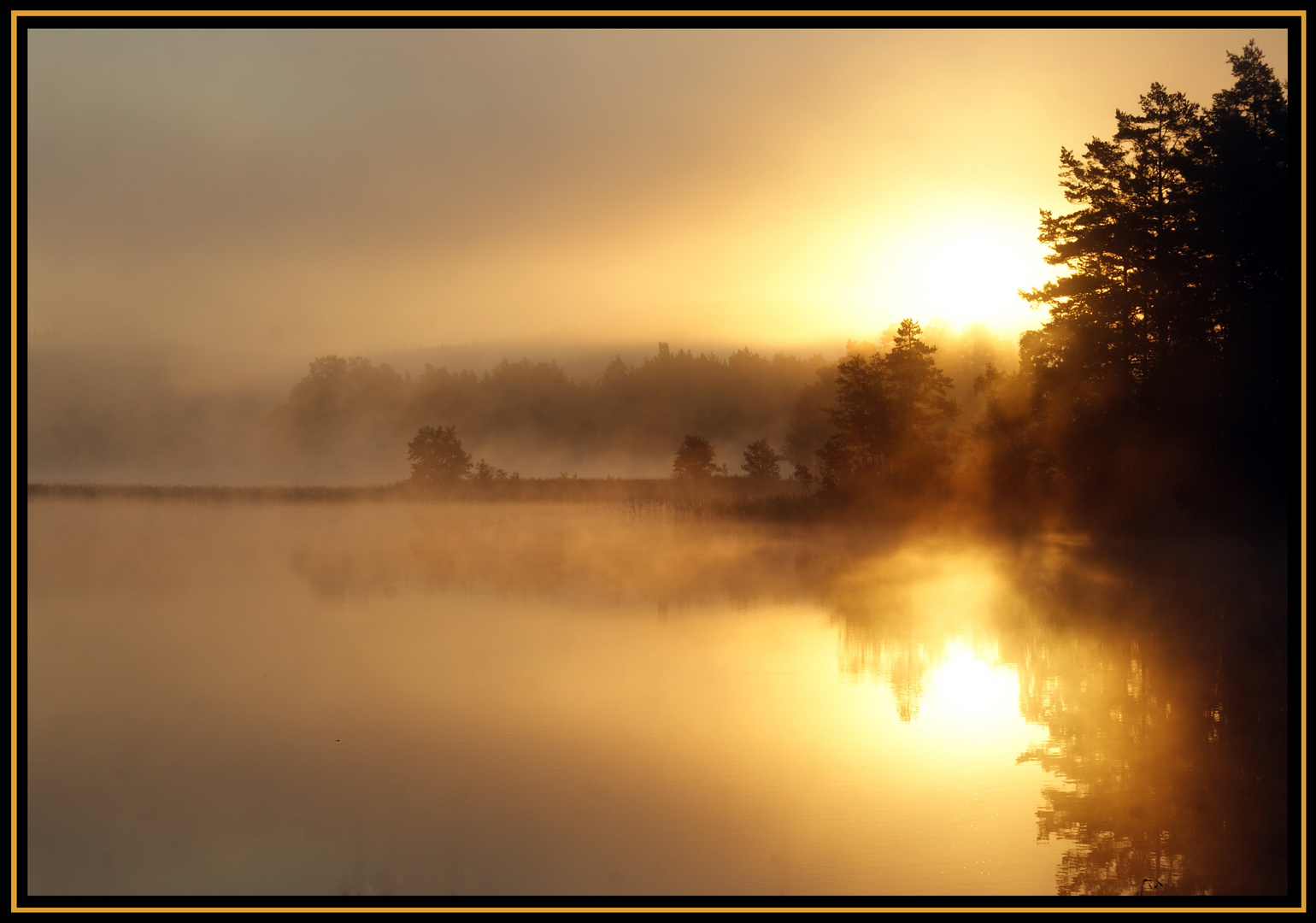 Morgenstimmung in Schweden