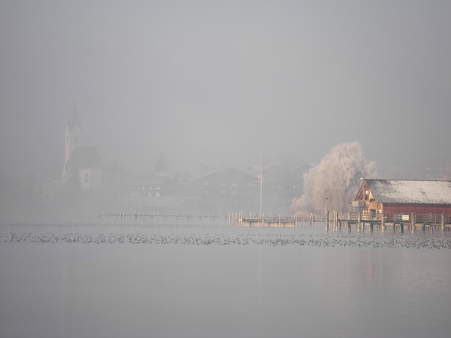 Morgenstimmung in Seebruck am Chiemsee