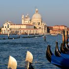 Morgenstimmung in Venedig